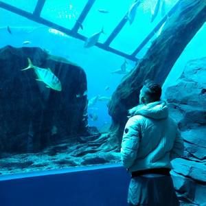 Meet your Posher, Matthew